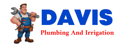 Trusted plumber in MUD BUTTE